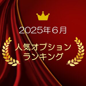 2025年６月最新！　人気オプションランキング