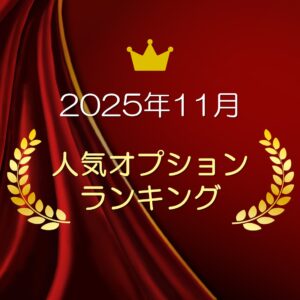 2025年11月最新！　人気オプションランキング