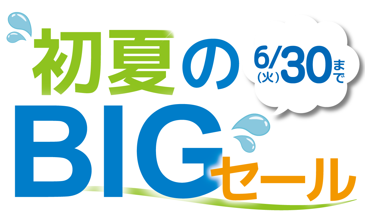 初夏のBIGセール_タイトル